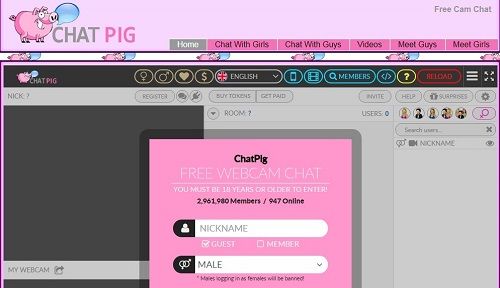 Pig com chat Chatpig &
