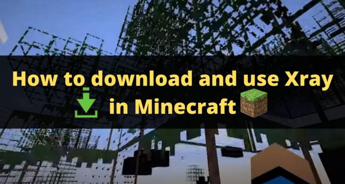How to download and use Xray in Minecraft